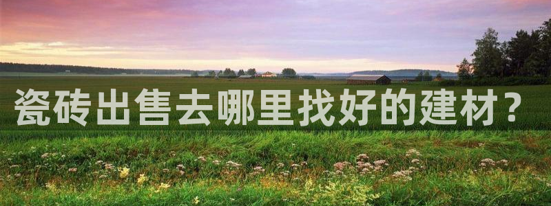 杏鑫平台野马联盟