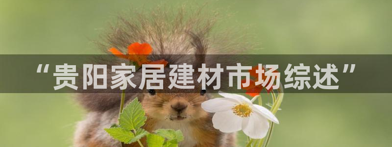 杏鑫官方app代理