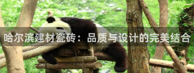 杏鑫注册登录代理公司