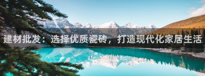 杏鑫代理注册资金多少