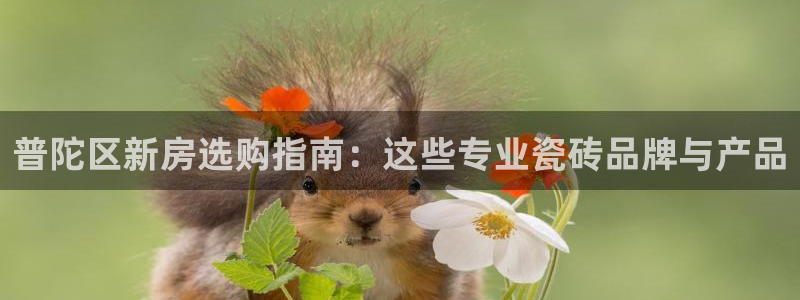 杏鑫注册登录代理