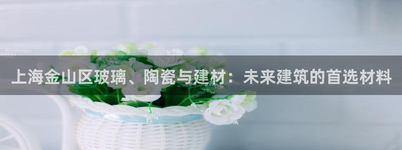 杏鑫注册登录代理