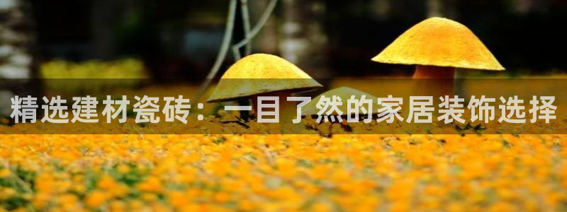 杏鑫代理注册平台