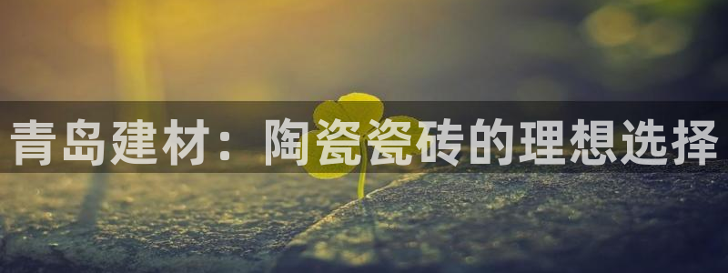杏鑫平台怎么样黑钱吗是真的吗还是假的