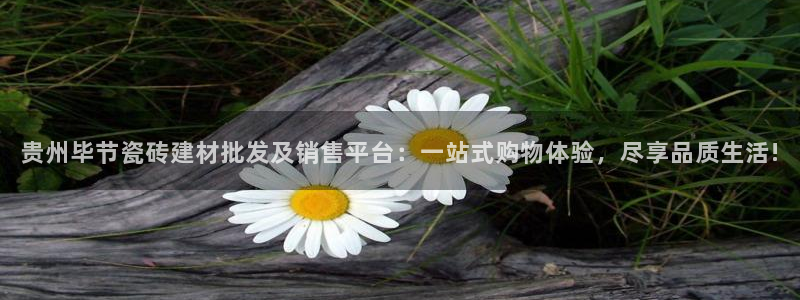 杏鑫娱乐官网下载
