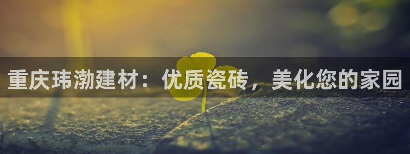 杏鑫平台注册入口在哪里找